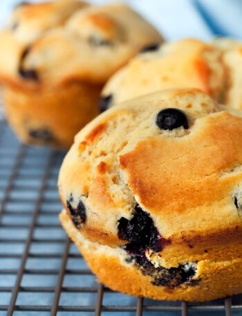 Blueberry Muffins
