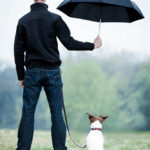 Young man holding an umbrella over his dog.