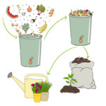 Schema of recycling organic waste from collecting kitchen scraps to use compost and compost tea for gardening. Recycling organic waste. Zero waste concept. Hand drawn vector illustration.