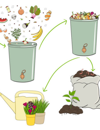 Schema of recycling organic waste from collecting kitchen scraps to use compost and compost tea for gardening. Recycling organic waste. Zero waste concept. Hand drawn vector illustration.