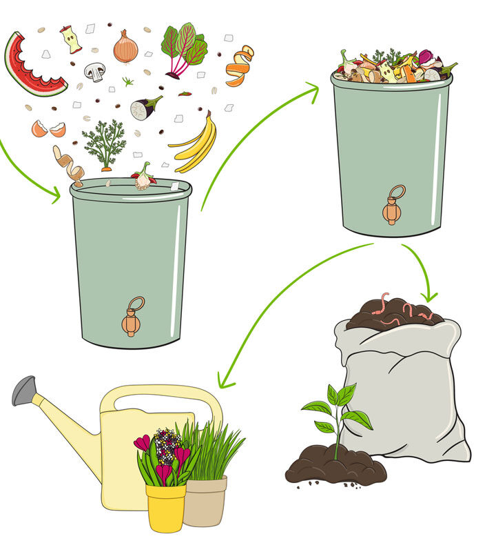 Schema of recycling organic waste from collecting kitchen scraps to use compost and compost tea for gardening. Recycling organic waste. Zero waste concept. Hand drawn vector illustration.