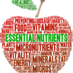 Essential Nutrients word cloud on a white background.