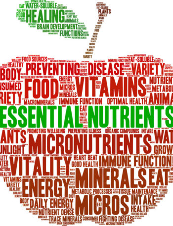 Essential Nutrients word cloud on a white background.