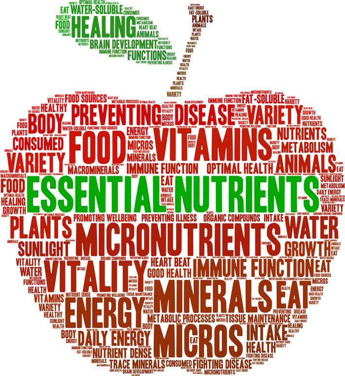 Essential Nutrients word cloud on a white background.