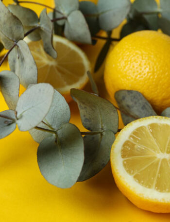 Eucalyptus leaves and lemons.