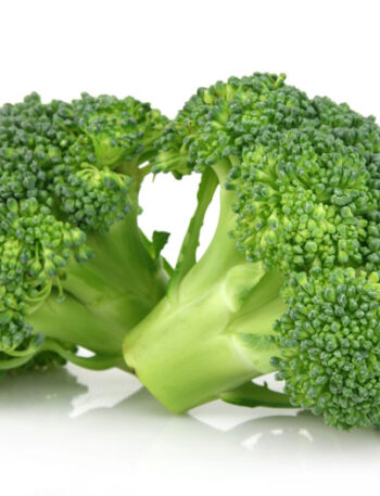 Broccoli Florets on a white background.