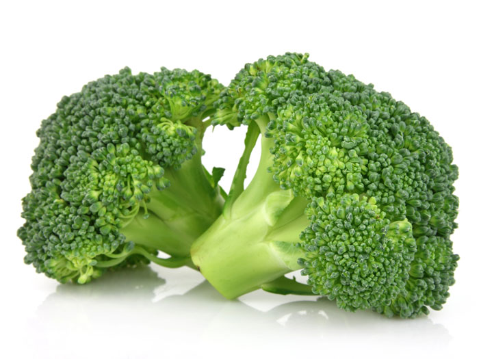 Broccoli Florets on a white background.