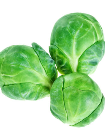 Three Brussels Sprouts on a white background.