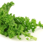Kale leaves on a white background.