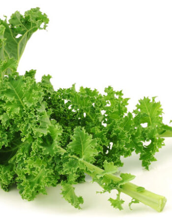Kale leaves on a white background.