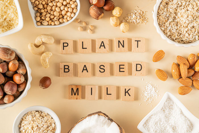 Nuts and grains used to make plant-based milk with the lettering "Plant Based Milk" arranged in the center.