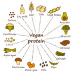 Set of cartoon hand drawn objects on vegan source of protein theme: tofy, soya beans and milk, quinoa, lentil, chia. Healthy vegetarian food concept for your design