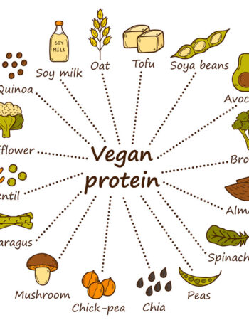 Set of cartoon hand drawn objects on vegan source of protein theme: tofy, soya beans and milk, quinoa, lentil, chia. Healthy vegetarian food concept for your design