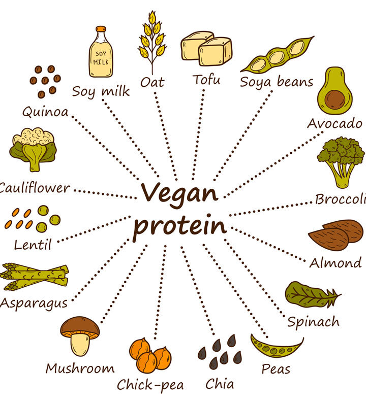 Set of cartoon hand drawn objects on vegan source of protein theme: tofy, soya beans and milk, quinoa, lentil, chia. Healthy vegetarian food concept for your design