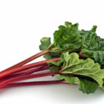 Stalks of rhubarb on a white background.