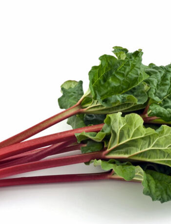 Stalks of rhubarb on a white background.