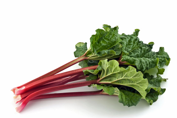 Stalks of rhubarb on a white background.