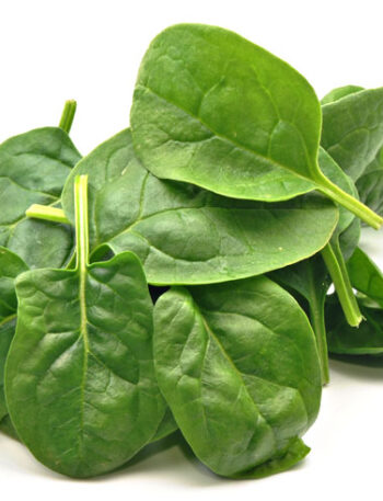 Spinach leaves on a white background.