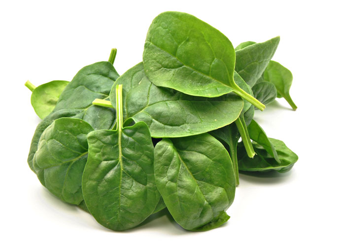 Spinach leaves on a white background.