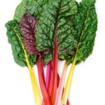 Rainbow Swiss Chard on a white background.