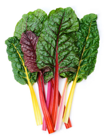 Rainbow Swiss Chard on a white background.