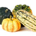 Various winter squash with a white background.