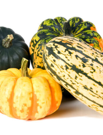 Various winter squash with a white background.