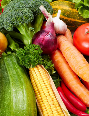 A variety of colorful produce on a white background.
