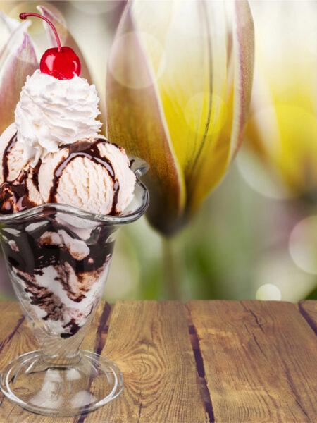 Ice Cream Sundae with chocolate sauce, whipped cream, and a cherry on top.